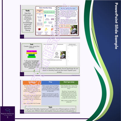 Sister Dorothy Stang