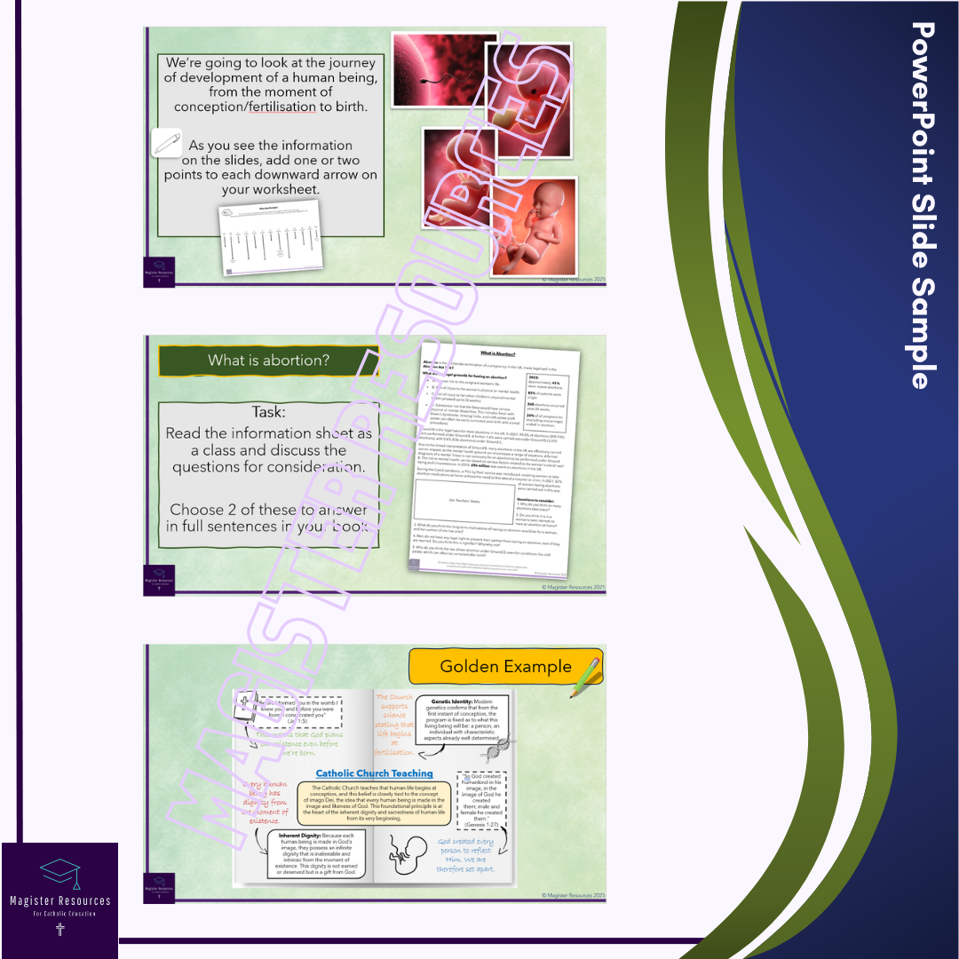 Human Life & Conception