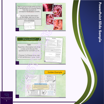 Human Life & Conception