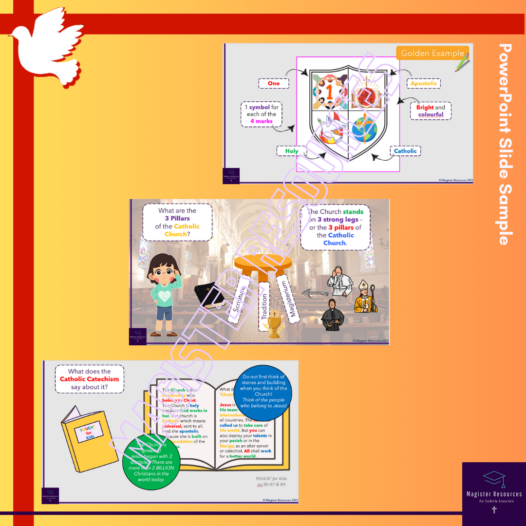 One, Holy, Catholic & Apostolic