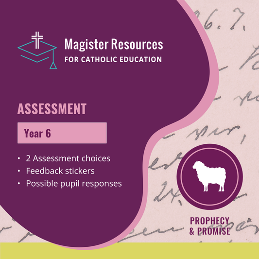 P&P Y6 Assessment